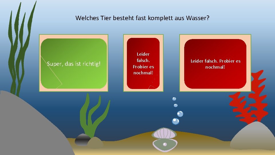 Welches Tier besteht fast komplett aus Wasser? Super, das ist richtig! Leider falsch. Probier