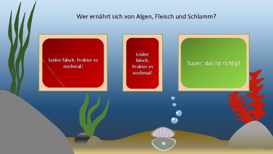 Wer ernährt sich von Algen, Fleisch und Schlamm? Leider falsch. Probier es nochmal! Super,