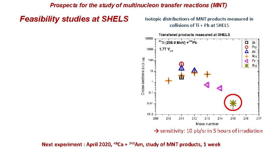 Prospects for the study of multinucleon transfer reactions (MNT) Feasibility studies at SHELS Isotopic