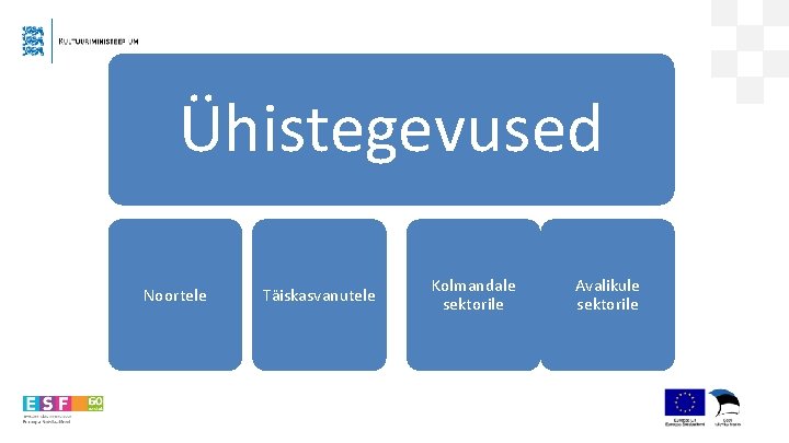 Ühistegevused Noortele Täiskasvanutele Kolmandale sektorile Avalikule sektorile 