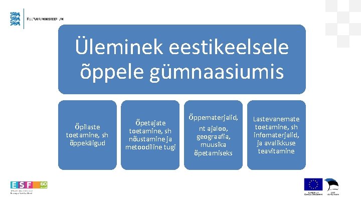 Üleminek eestikeelsele õppele gümnaasiumis Õpilaste toetamine, sh õppekäigud Õpetajate toetamine, sh nõustamine ja metoodiline