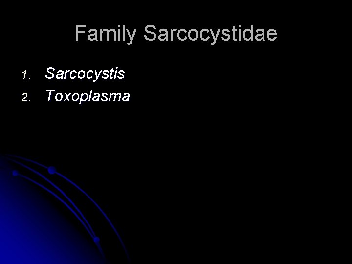 Family Sarcocystidae 1. 2. Sarcocystis Toxoplasma 