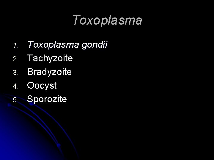 Toxoplasma 1. 2. 3. 4. 5. Toxoplasma gondii Tachyzoite Bradyzoite Oocyst Sporozite 