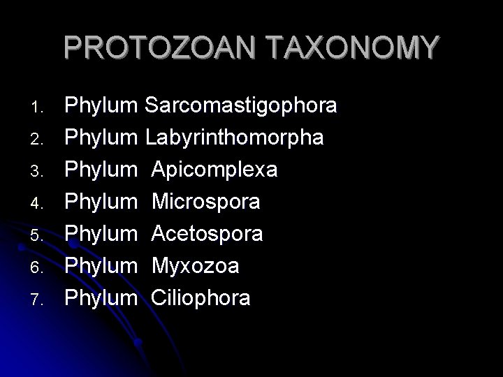 PROTOZOAN TAXONOMY 1. 2. 3. 4. 5. 6. 7. Phylum Sarcomastigophora Phylum Labyrinthomorpha Phylum