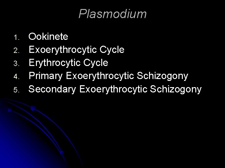 Plasmodium 1. 2. 3. 4. 5. Ookinete Exoerythrocytic Cycle Erythrocytic Cycle Primary Exoerythrocytic Schizogony