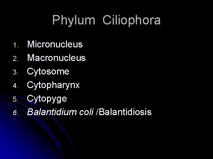 Phylum Ciliophora 1. 2. 3. 4. 5. 6. Micronucleus Macronucleus Cytosome Cytopharynx Cytopyge Balantidium