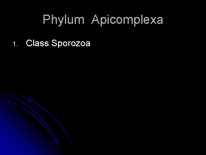 Phylum Apicomplexa 1. Class Sporozoa 