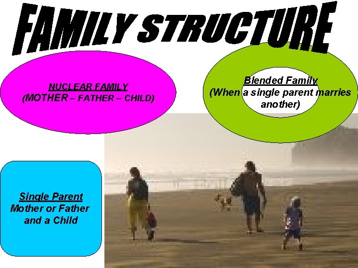 NUCLEAR FAMILY (MOTHER – FATHER – CHILD) Single Parent Mother or Father and a