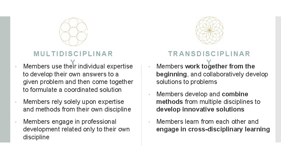  • MULTIDISCIPLINAR Y Members use their individual expertise to develop their own answers