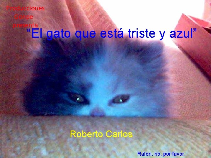 Producciones Gonpe presenta “El gato que está triste y azul” Roberto Carlos Ratón, no,