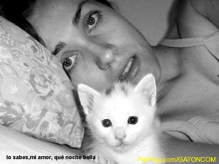 lo sabes, mi amor, qué noche bella 