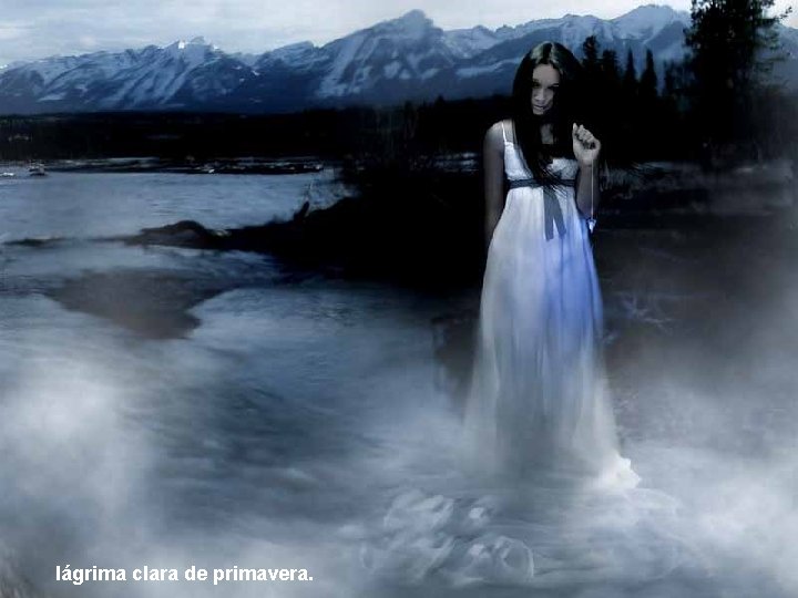lágrima clara de primavera. 