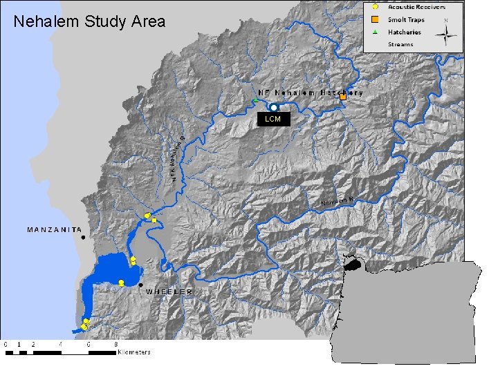 Nehalem Study Area LCM Nehalem Study Area LCM
