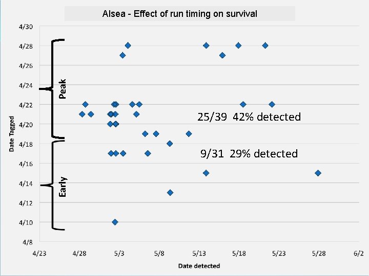 Peak Alsea - Effect of run timing on survival 25/39 42% detected Early 9/31