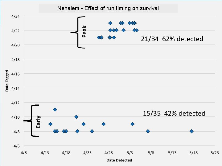 Nehalem - Effect of run timing on survival 21/34 62% detected Nehalem - Effect of run timing on survival 21/34 62% detected