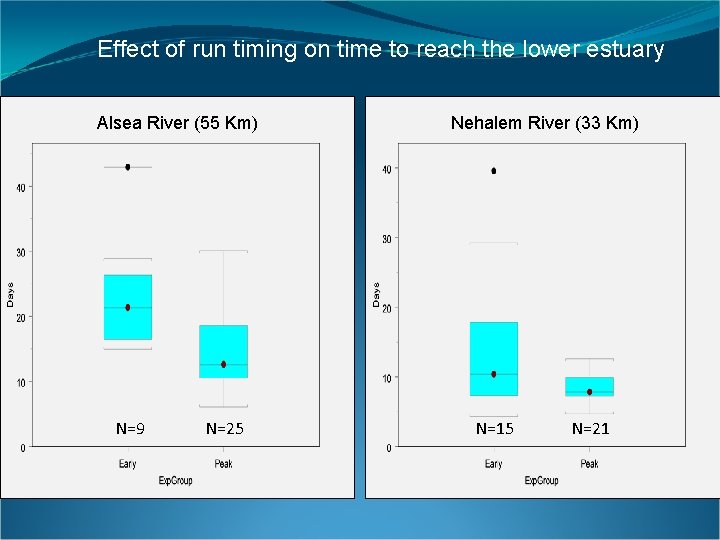 Effect of run timing on time to reach the lower estuary Alsea River (55