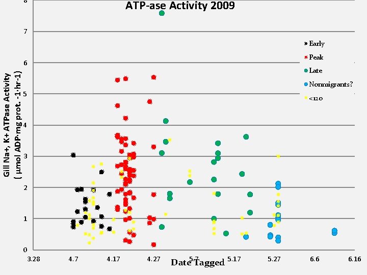 8 ATP-ase Activity 2009 7 Early Peak Gill Na+, K+ ATPase Activity ( µmol