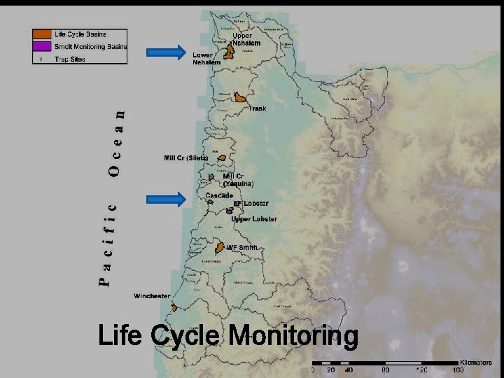 Life Cycle Monitoring Life Cycle Monitoring