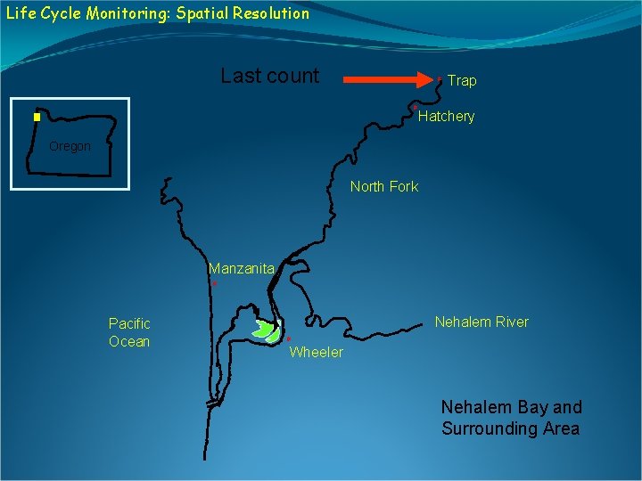 Life Cycle Monitoring: Spatial Resolution Last count # # Trap Hatchery Oregon North Fork