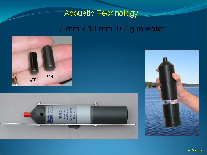 Acoustic Technology 7 mm x 18 mm, 0. 7 g in water V 7 Acoustic Technology 7 mm x 18 mm, 0. 7 g in water V 7