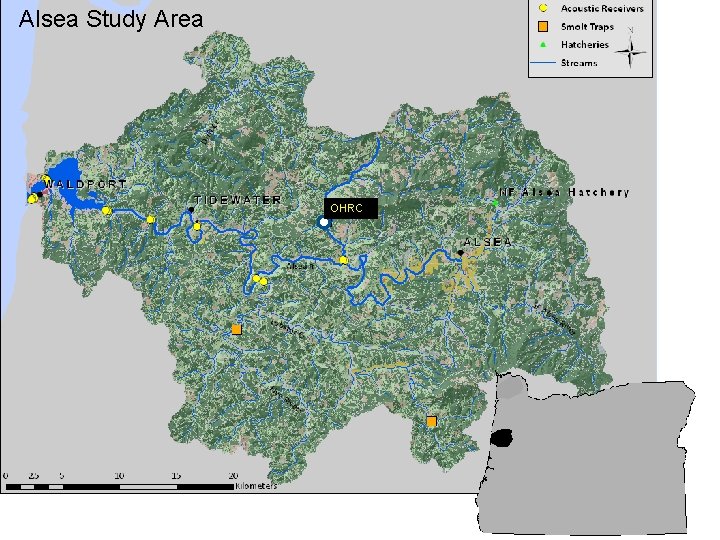 Alsea Study Area OHRC 