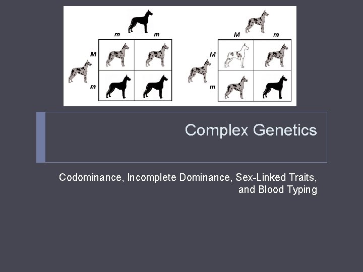 Complex Genetics Codominance, Incomplete Dominance, Sex-Linked Traits, and Blood Typing 