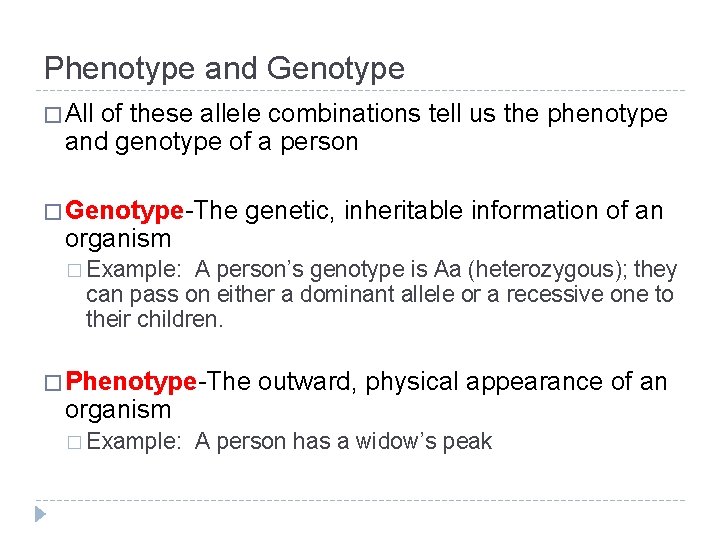 Phenotype and Genotype � All of these allele combinations tell us the phenotype and
