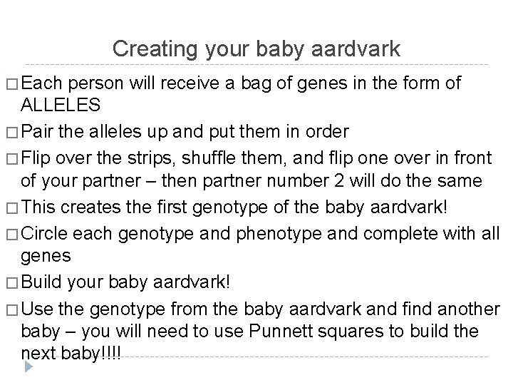 Creating your baby aardvark � Each person will receive a bag of genes in