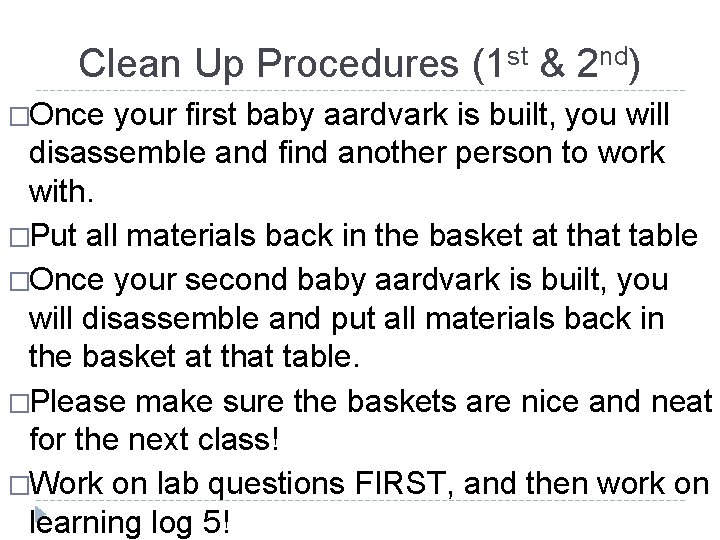 Clean Up Procedures (1 st & 2 nd) �Once your first baby aardvark is