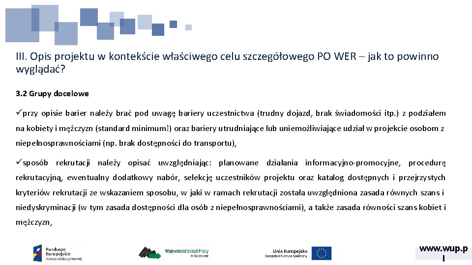 III. Opis projektu w kontekście właściwego celu szczegółowego PO WER – jak to powinno