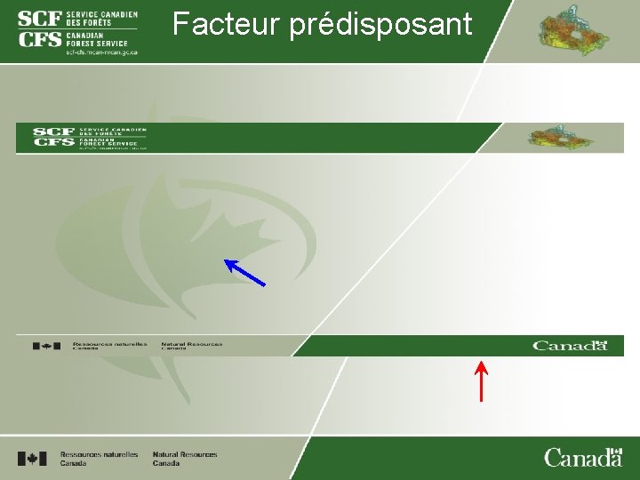 Facteur prédisposant 