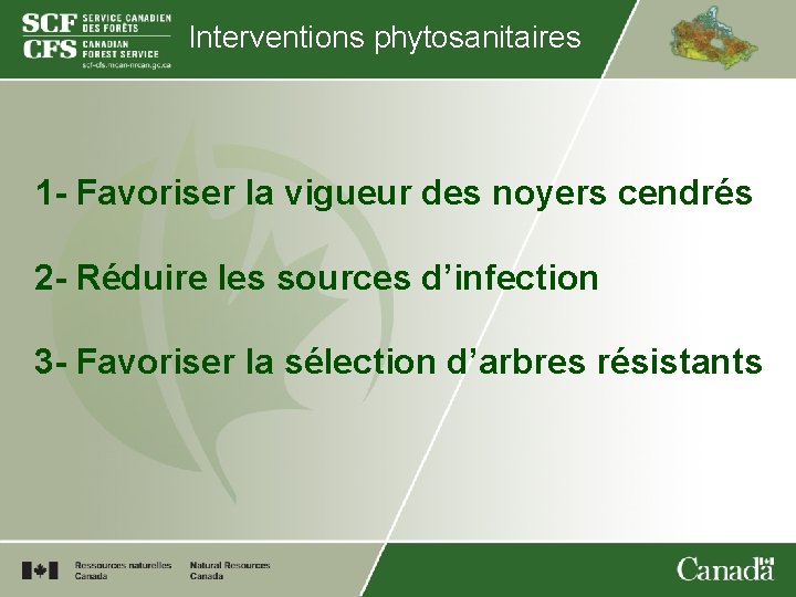 Interventions phytosanitaires 1 - Favoriser la vigueur des noyers cendrés 2 - Réduire les