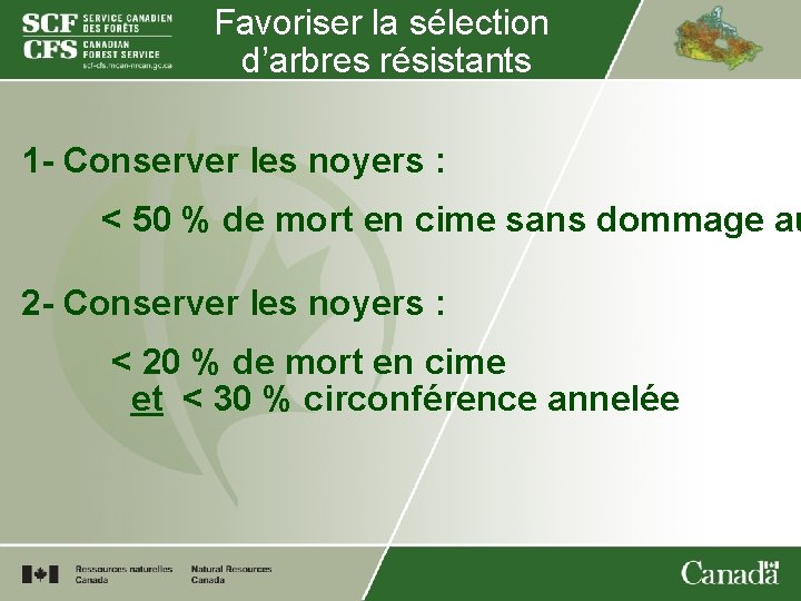 Favoriser la sélection d’arbres résistants 1 - Conserver les noyers : < 50 %