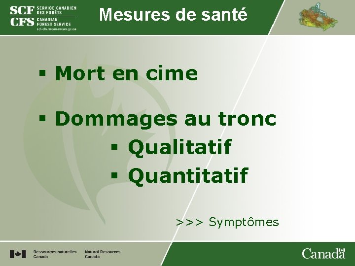 Mesures de santé § Mort en cime § Dommages au tronc § Qualitatif §