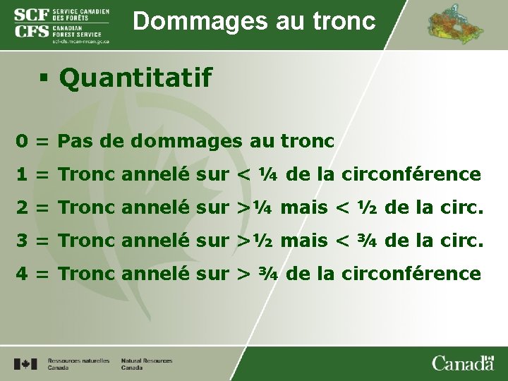 Dommages au tronc § Quantitatif 0 = Pas de dommages au tronc 1 =