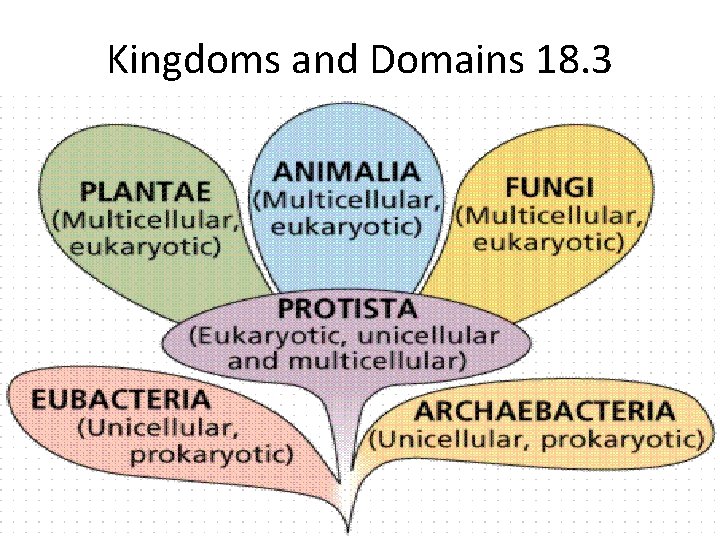 Kingdoms and Domains 18. 3 