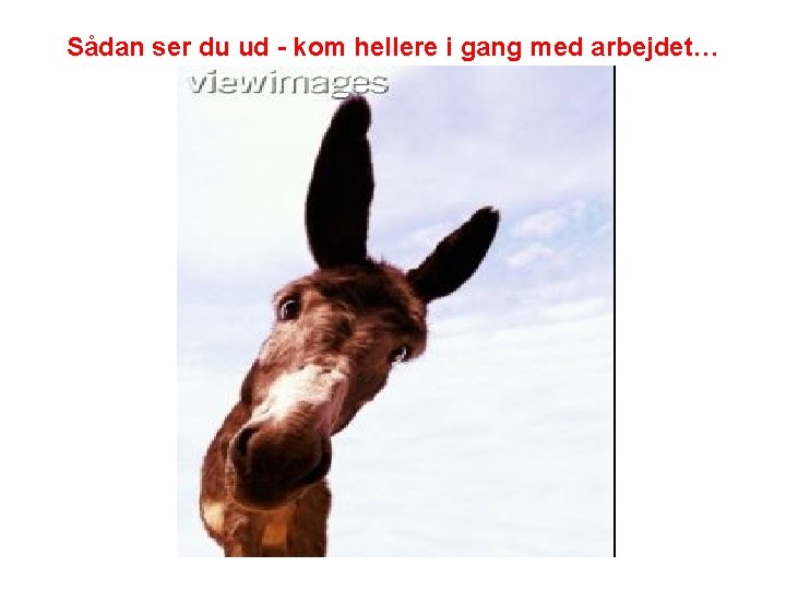 Sådan ser du ud - kom hellere i gang med arbejdet… 