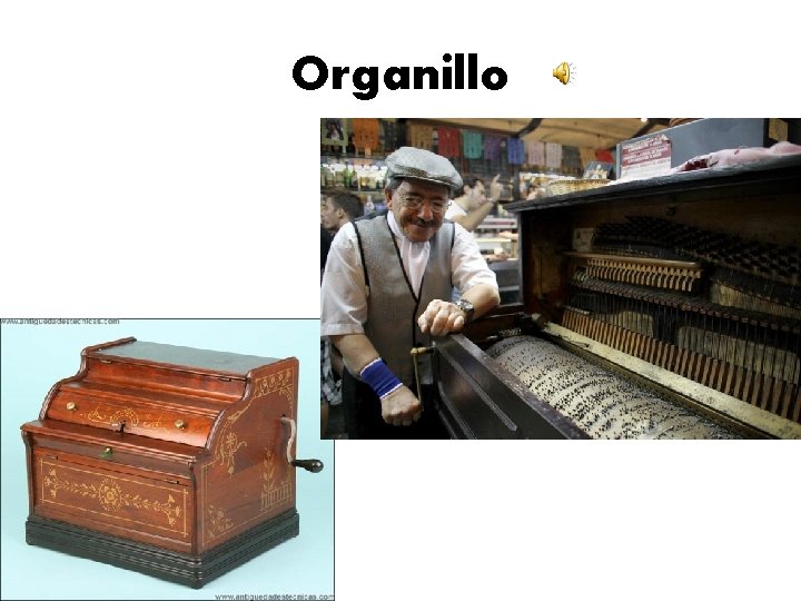 Organillo 