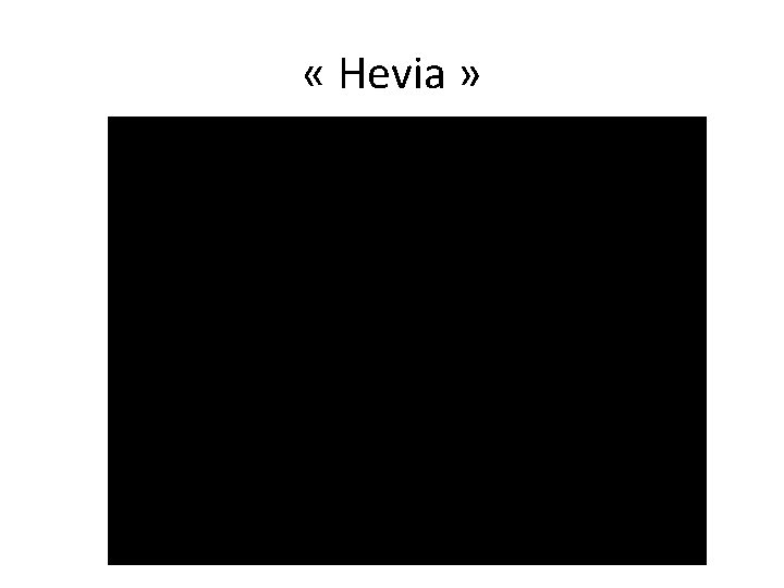  « Hevia » 