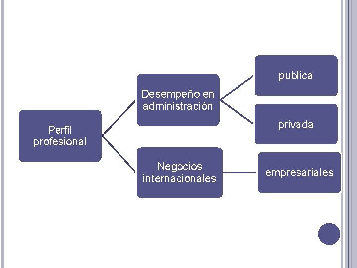 publica Desempeño en administración privada Perfil profesional Negocios internacionales empresariales 