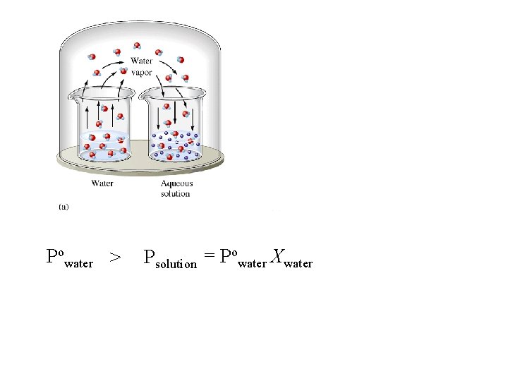 Powater > Psolution = Powater Xwater Powater > Psolution = Powater Xwater