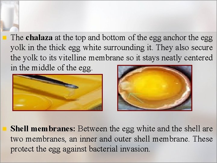 n The chalaza at the top and bottom of the egg anchor the egg