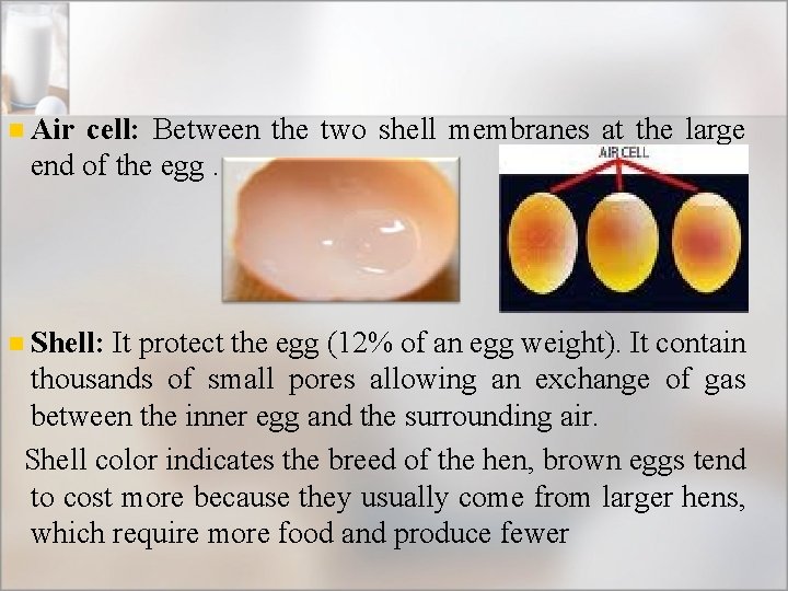 n Air cell: Between the two shell membranes at the large end of the