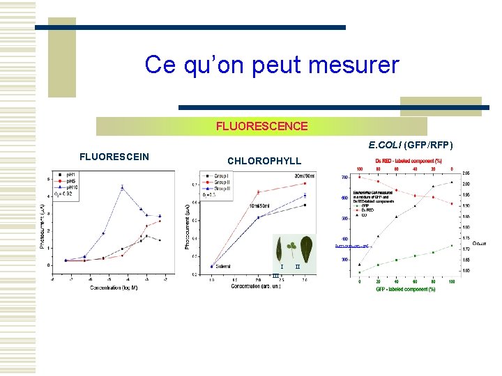 Ce qu’on peut mesurer FLUORESCENCE E. COLI (GFP/RFP) FLUORESCEIN CHLOROPHYLL I II 