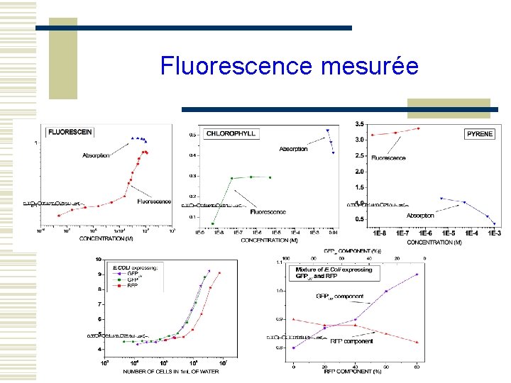 Fluorescence mesurée 