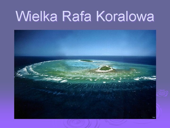 Wielka Rafa Koralowa 