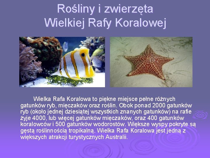 Rośliny i zwierzęta Wielkiej Rafy Koralowej Wielka Rafa Koralowa to piękne miejsce pełne różnych