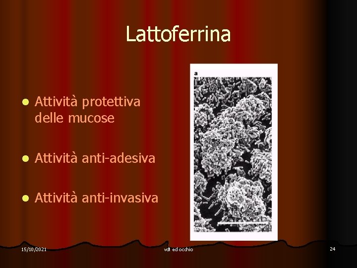 Lattoferrina l Attività protettiva delle mucose l Attività anti-adesiva l Attività anti-invasiva 15/10/2021 vdt