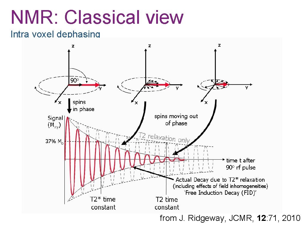 NMR: Classical view Intra voxel dephasing from J. Ridgeway, JCMR, 12: 71, 2010 