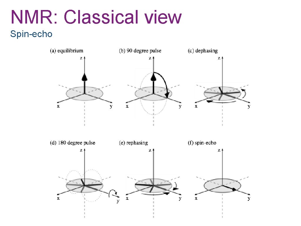 NMR: Classical view Spin-echo 